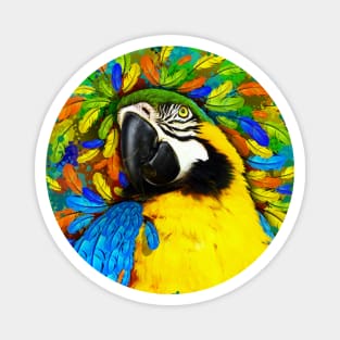 Gold and Blue Macaw Parrot Fantasy Magnet